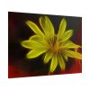 Yellow Flower Poster