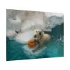 Polar Bear in Water Poster