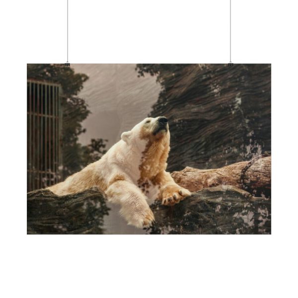 101875-221.jpg Polar Bear in Zoo Poster