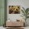 101875-231.jpg Bear is Resting Poster