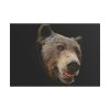 101875-240.jpg Face of Bear Poster