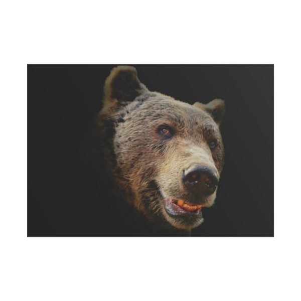 101875-240.jpg Face of Bear Poster