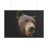 101875-241.jpg Face of Bear Poster