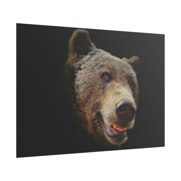 101875-242.jpg Face of Bear Poster