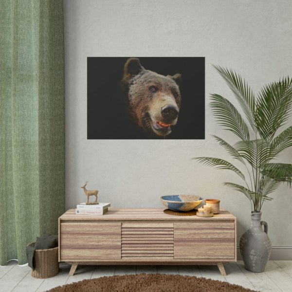 101875-243.jpg Face of Bear Poster