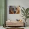 Bear Close up Poster