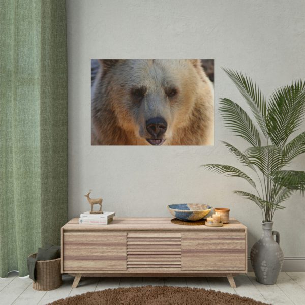 Bear Close up Poster