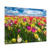 Tulips Beautiful Poster