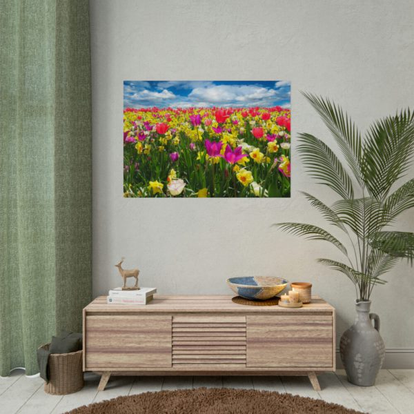 Tulips Beautiful Poster