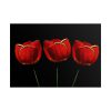 Flowering Plant Poster