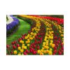 101875-272.jpg Beautiful Blossoms Poster
