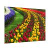 101875-274.jpg Beautiful Blossoms Poster
