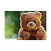 101875-280.jpg Cute Teddy Bear Poster
