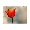 Sunny Poster