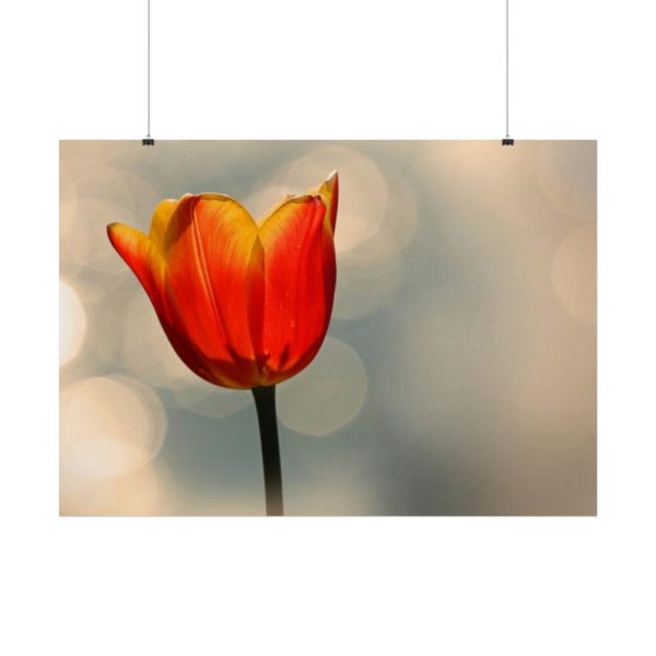 Sunny Poster