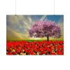 Signs of Spring Poster