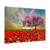 Signs of Spring Poster