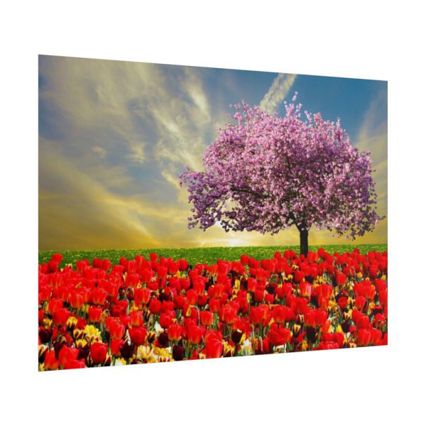Signs of Spring Poster