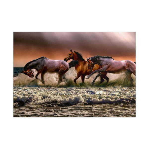 101875-297.jpg Australian Horses Poster