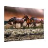 101875-299.jpg Australian Horses Poster