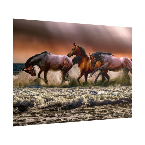 101875-299.jpg Australian Horses Poster