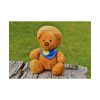 101875-317.jpg Bear with a Hat Poster