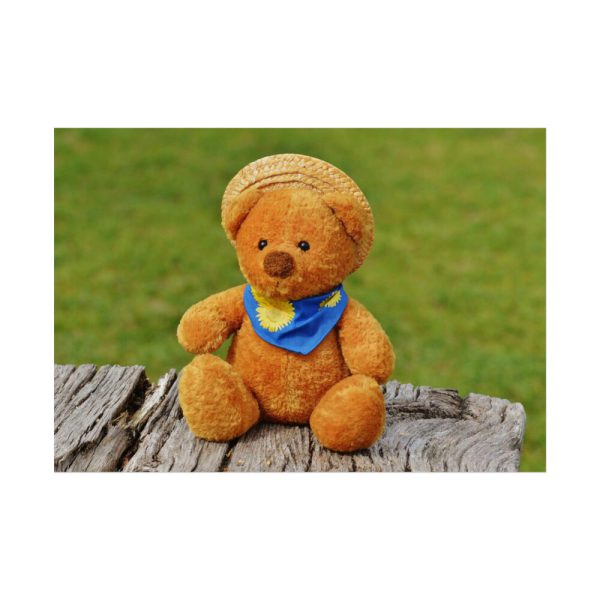 101875-317.jpg Bear with a Hat Poster