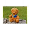 101875-318.jpg Bear with a Hat Poster