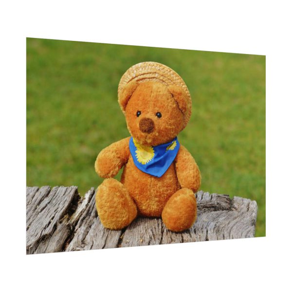 101875-319.jpg Bear with a Hat Poster