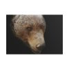 101875-322.jpg Bear Head Artistic Poster