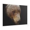 101875-324.jpg Bear Head Artistic Poster