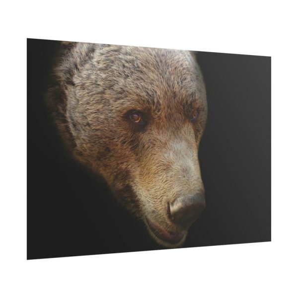 101875-324.jpg Bear Head Artistic Poster