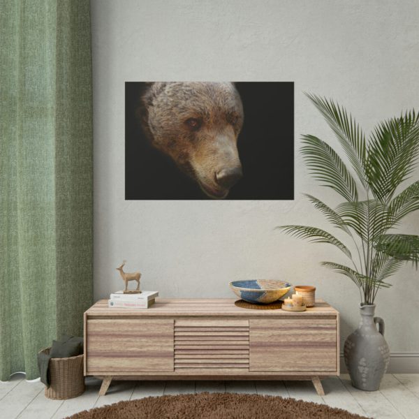 101875-325.jpg Bear Head Artistic Poster