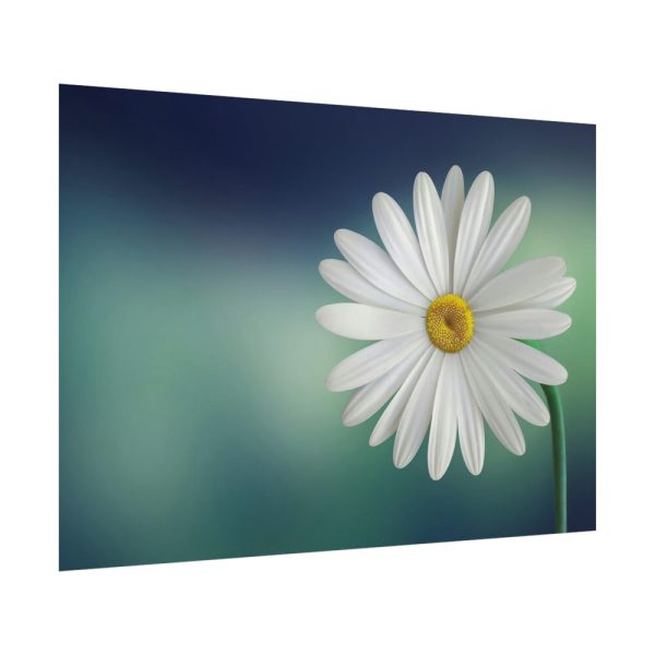 Lonely Daisy Poster