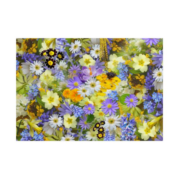 101875-347.jpg Daisy Flower Background Poster