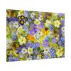 101875-349.jpg Daisy Flower Background Poster