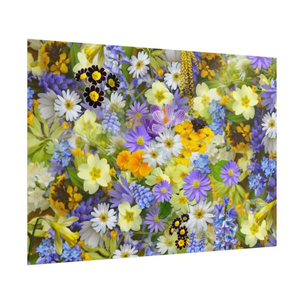 101875-349.jpg Daisy Flower Background Poster