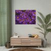 Purple Daisy Poster