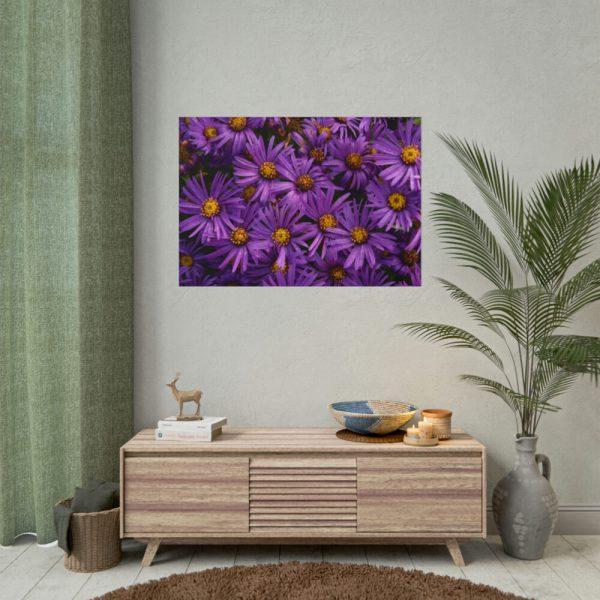 Purple Daisy Poster