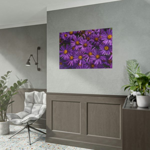 Purple Daisy Poster