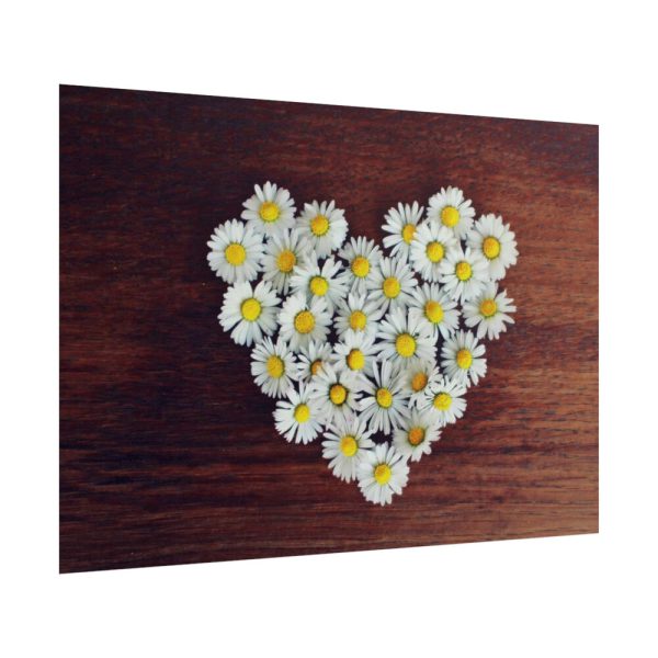 101875-359.jpg White Daisy in Heart Shape Poster