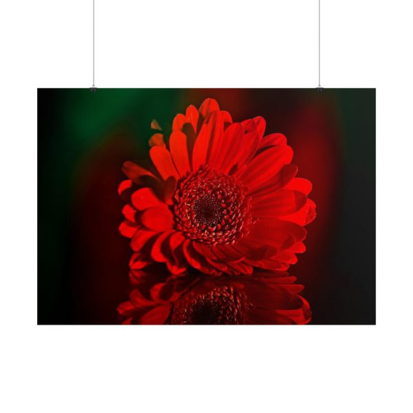 Red Daisy Poster