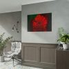 Red Daisy Poster