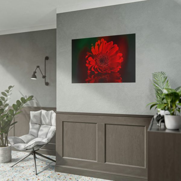 Red Daisy Poster