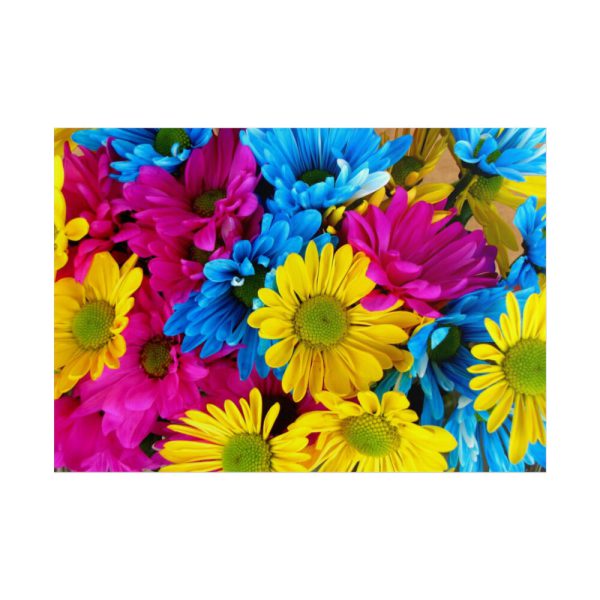 101875-367.jpg Colorful Daisies Poster