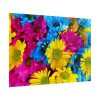 101875-369.jpg Colorful Daisies Poster