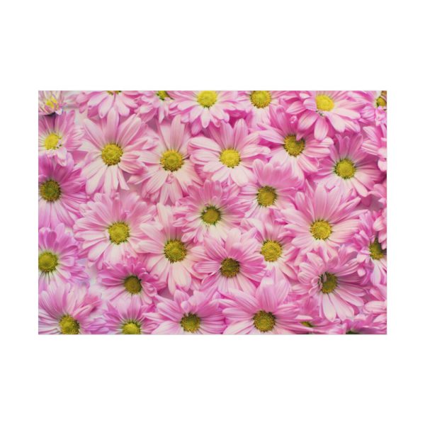 101875-372.jpg Pink Daisies Poster