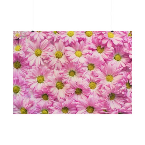 101875-373.jpg Pink Daisies Poster