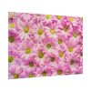 101875-374.jpg Pink Daisies Poster