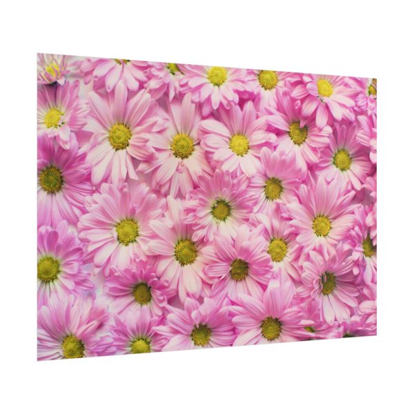 101875-374.jpg Pink Daisies Poster